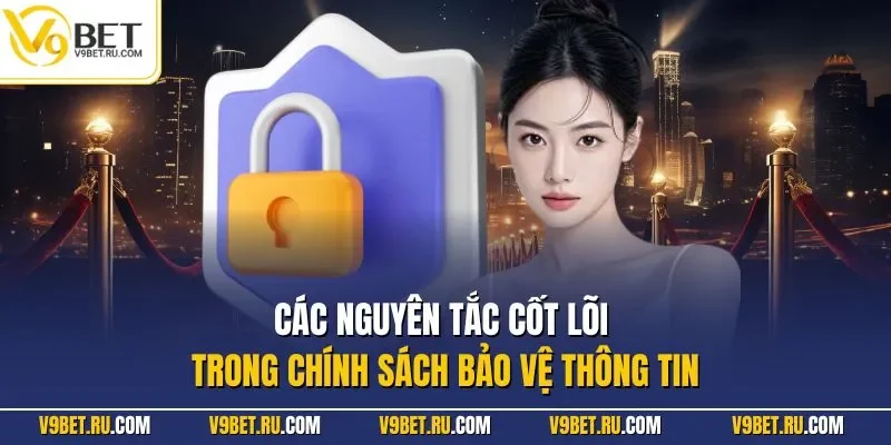 Các nguyên tắc cốt lõi trong chính sách bảo vệ thông tin