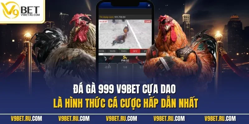 Đá gà 999 V9BET cựa dao là hình thức cá cược hấp dẫn nhất