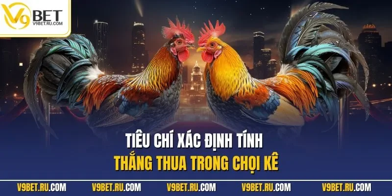 Tiêu chí xác định tính thắng thua trong chọi kê