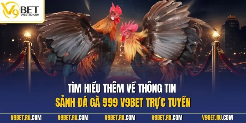 Tìm hiểu thêm về thông tin sảnh đá gà 999 V9BET trực tuyến