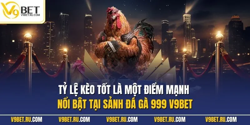 Tỷ lệ kèo tốt là một điểm mạnh nổi bật tại sảnh đá gà 999 V9BET